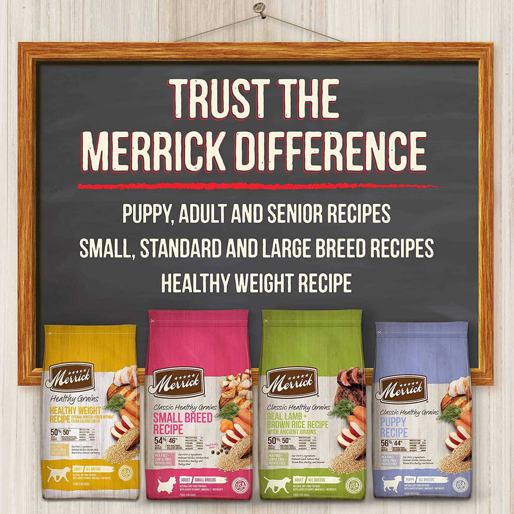 Senior Dry Dog Food H545477