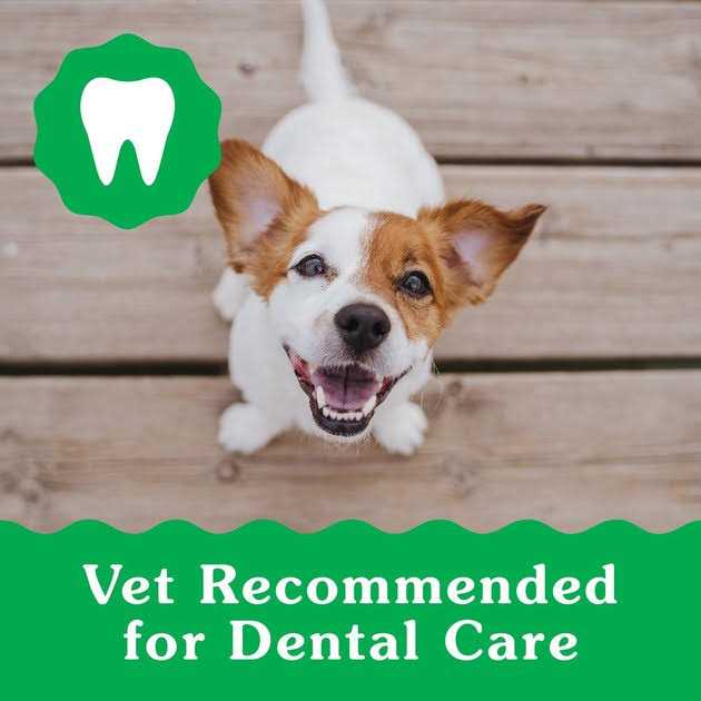 Puppy Dental Dog Treats F916