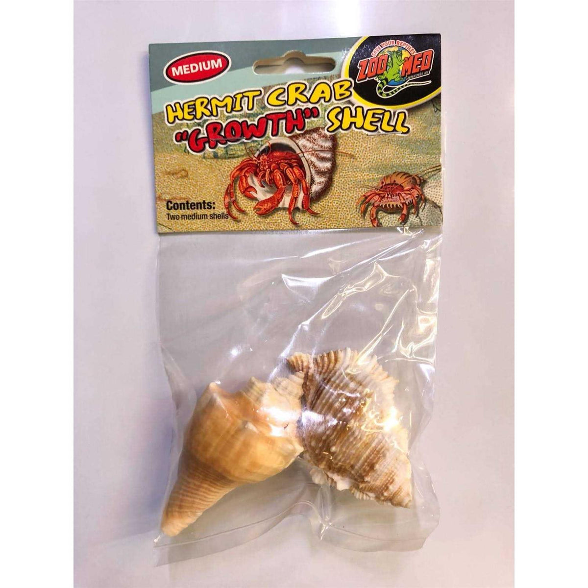 Hermit Crab Growth Shell U680292