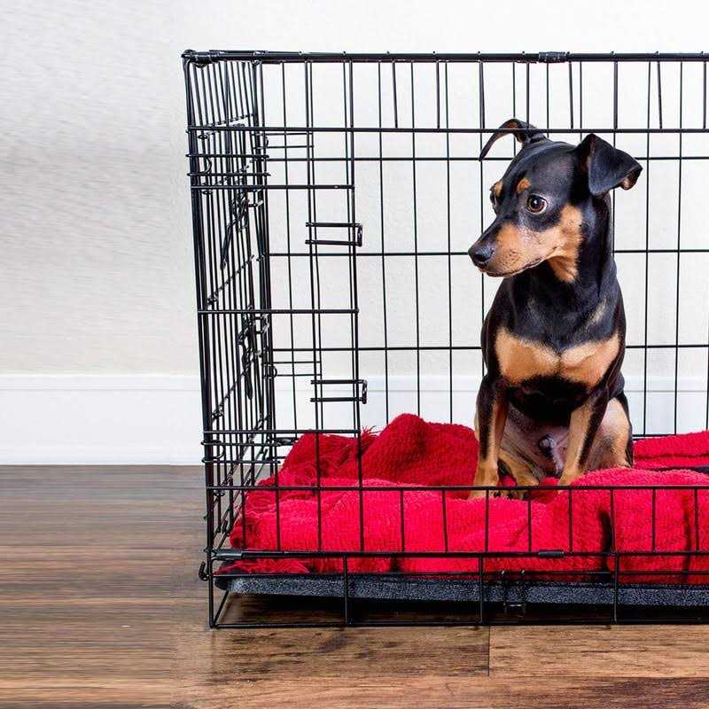 Medium 24 Inch Plastic Dog Crate Replacement Tray F4592
