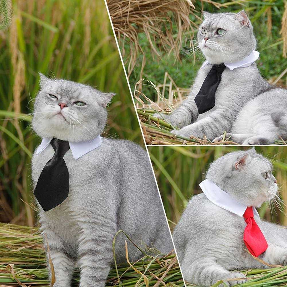 Adjustable Pet Bowtie Collar A42885