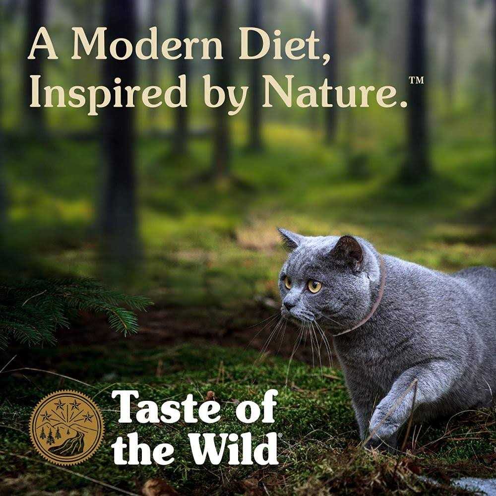 Cat Food G4597