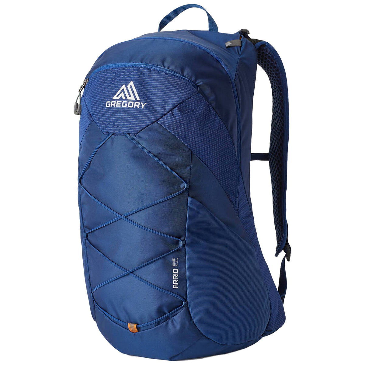 Brick Red Arrio 22 Backpack R598