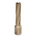16mm x 50mm Carbide Tip Annular Cutter N344