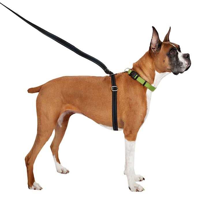 Retractable Dog Leash R996707
