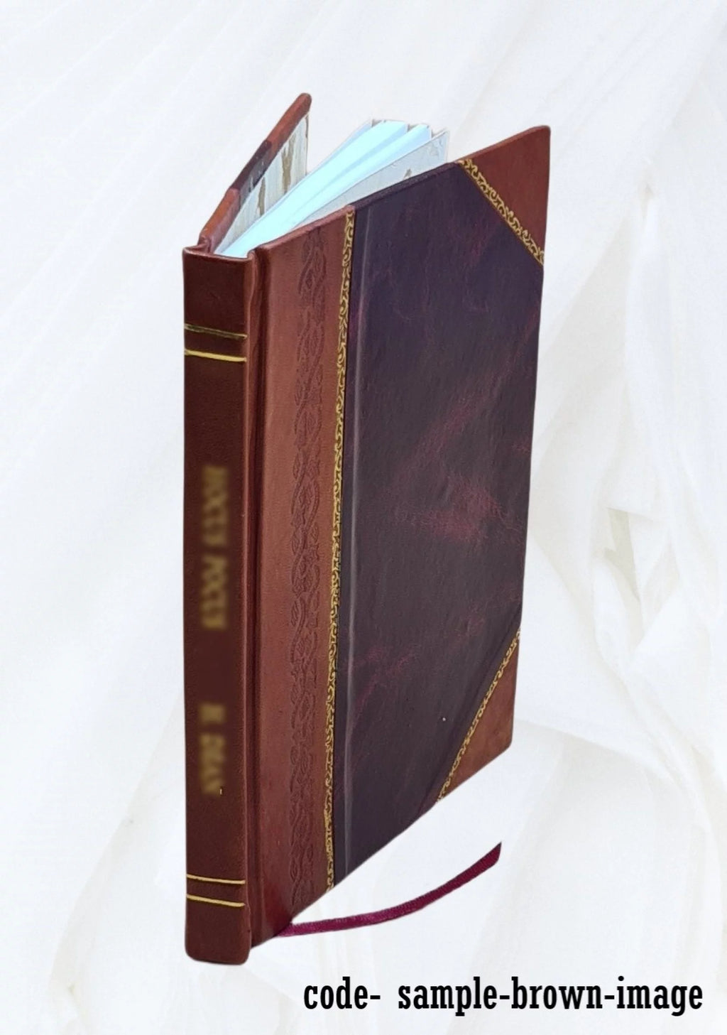 Leather Bound Volume Brief for Petitioner S51738