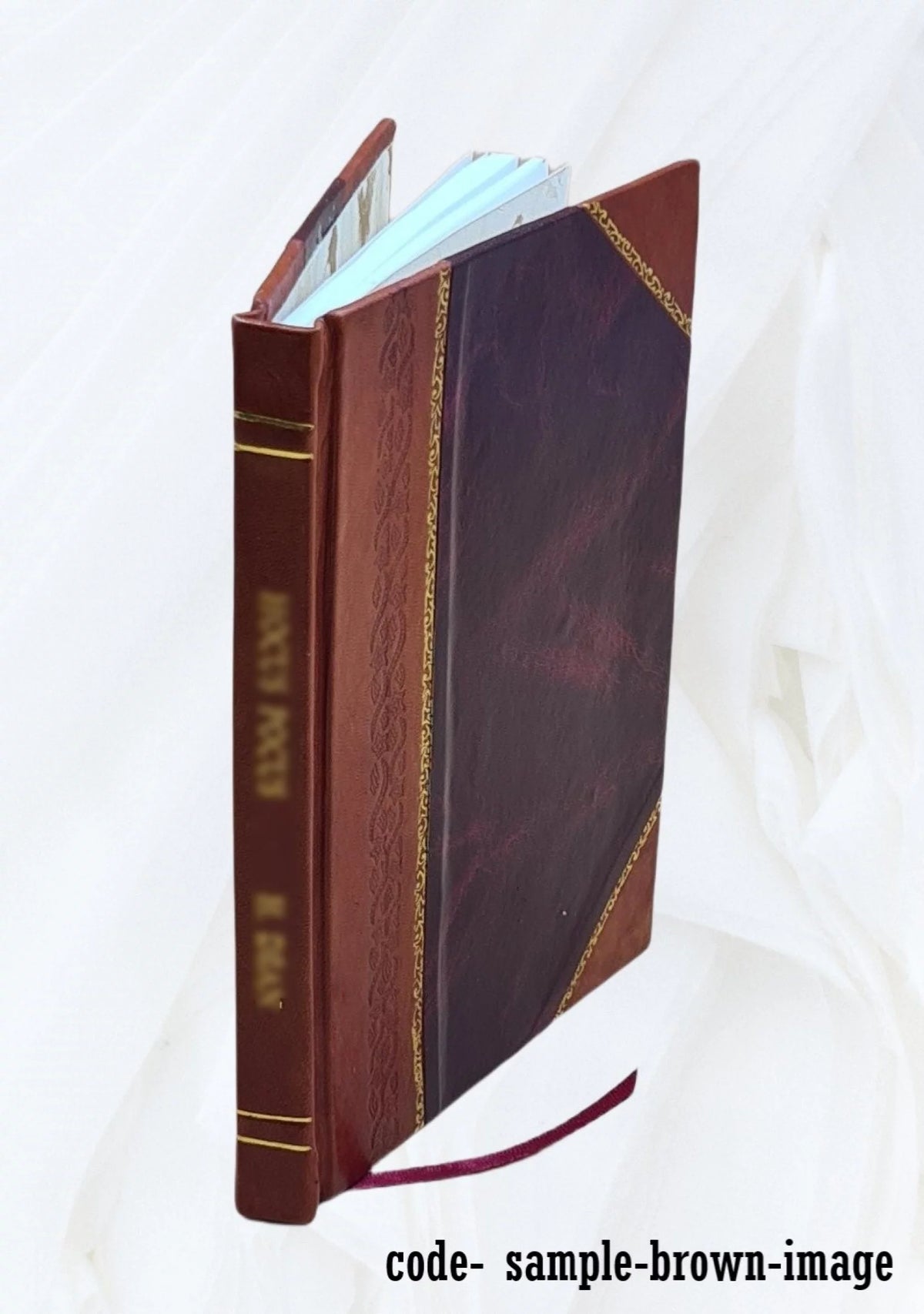 Leather Bound Volume Brief for Petitioner S51738