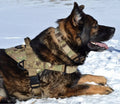 Green Multicam Harness M87960