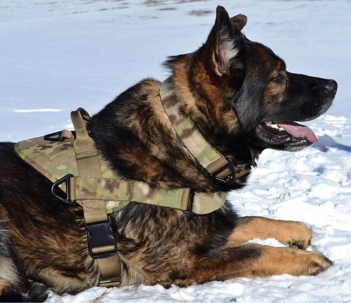 Green Multicam Harness M87960