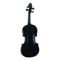 Black Violin Y949662