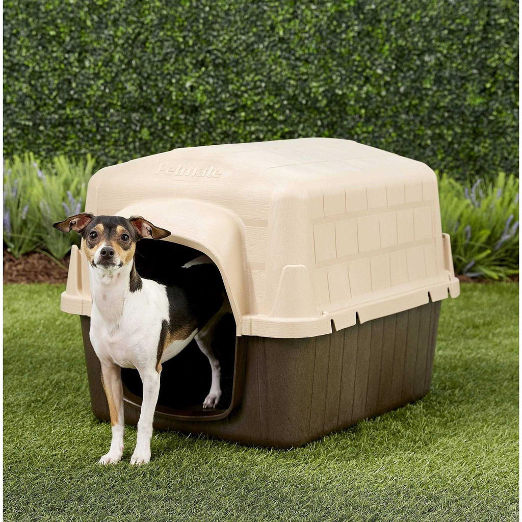 3 Dog House Y773
