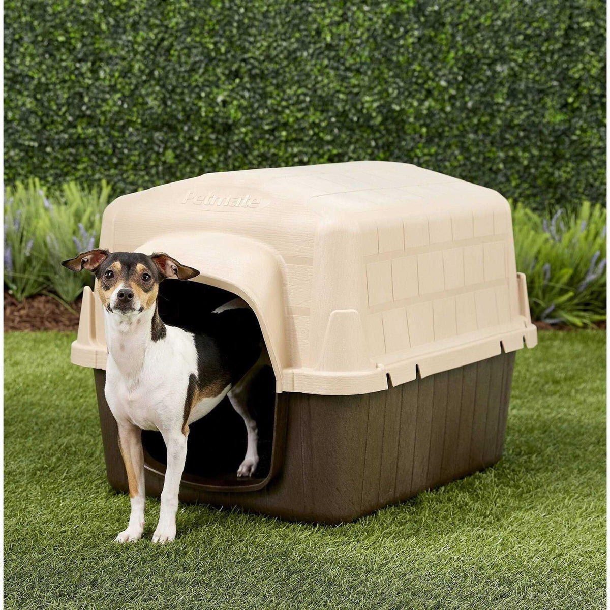 3 Dog House Y773