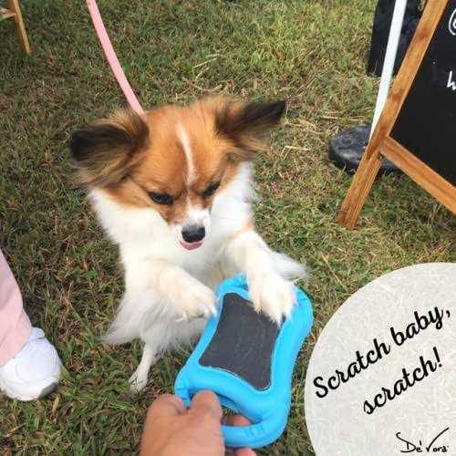 Dog & Cat Grooming Toy R338