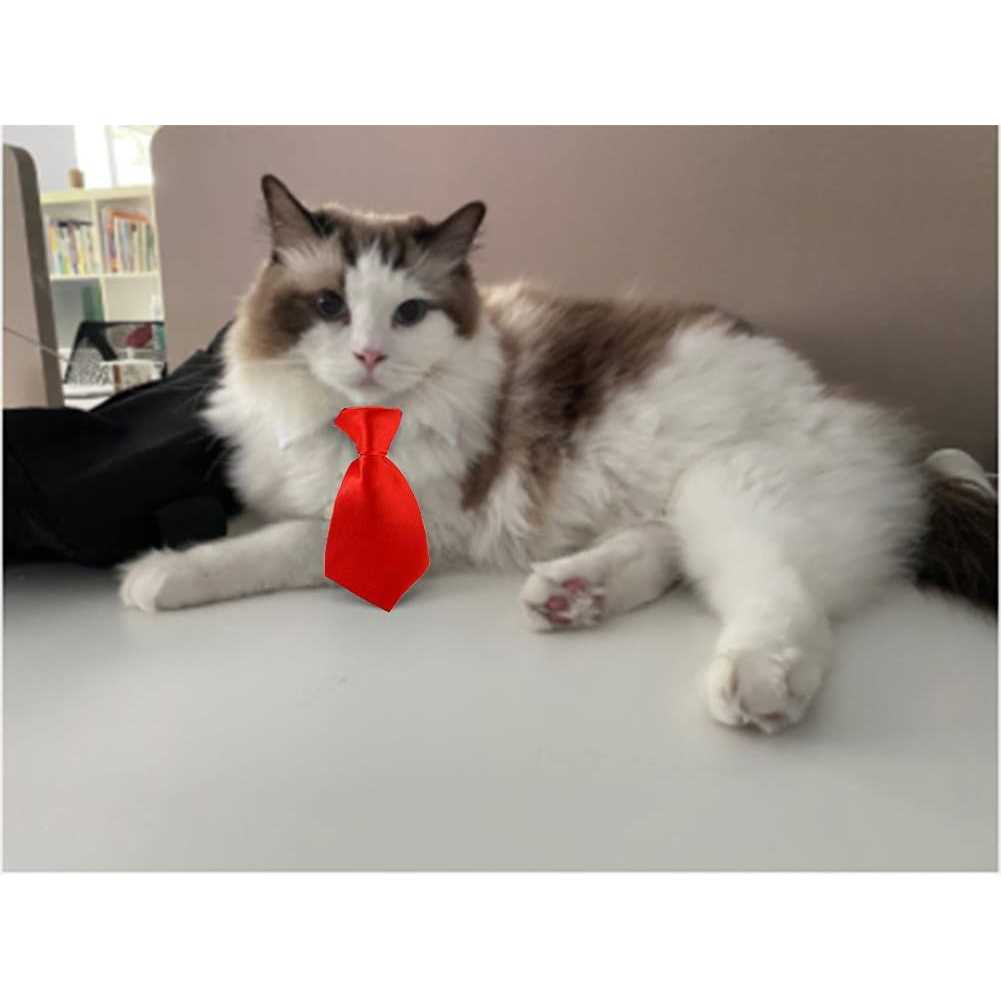 Adjustable Pet Bowtie Collar A42885