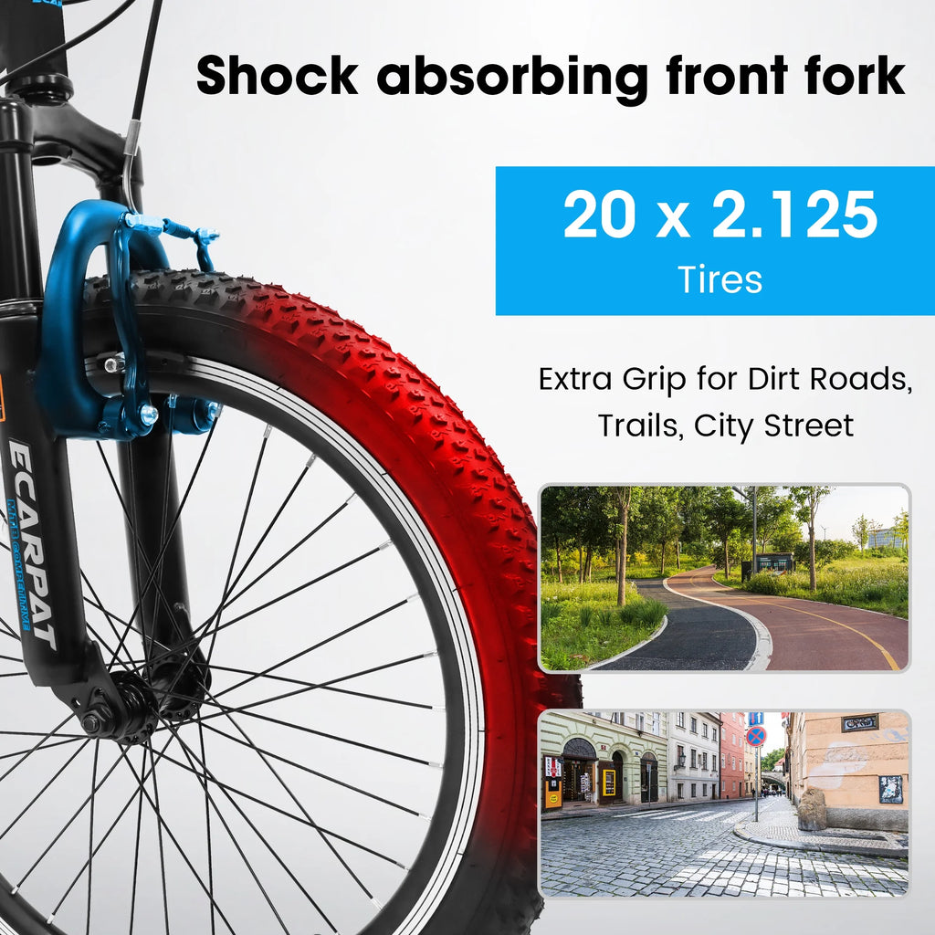 20 Inch Kids Mountain Bike, 7 Speed, Disc Brakes, Fat Tire, Black P380
