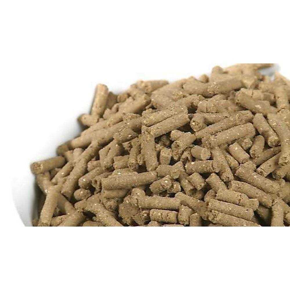 Large Breed Adult Dry Dog Food Q5630