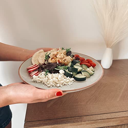 Set of 6 10 inch Ceramic Matte Dinner Plates F677