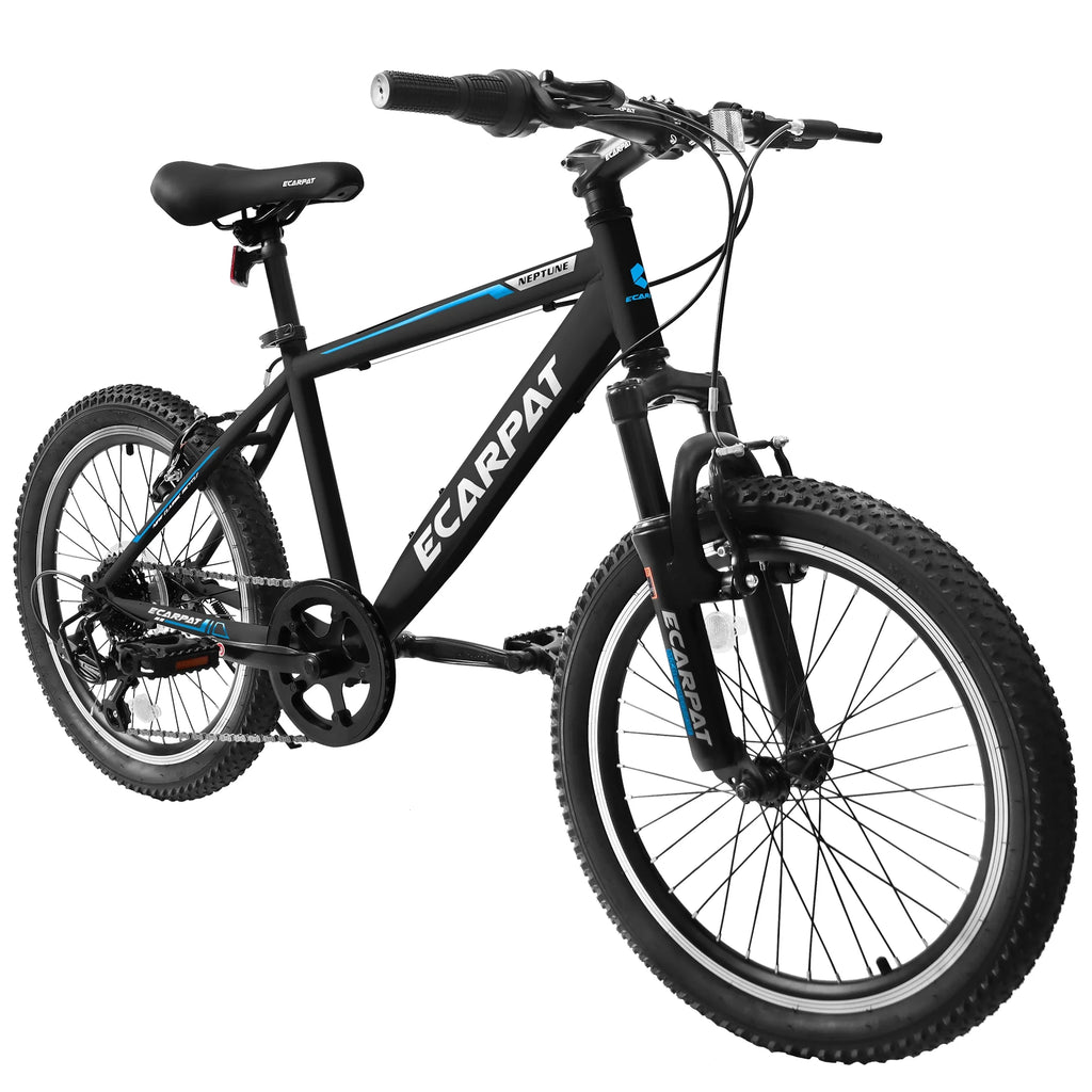 20 Inch Kids Mountain Bike, 7 Speed, Disc Brakes, Fat Tire, Black P380