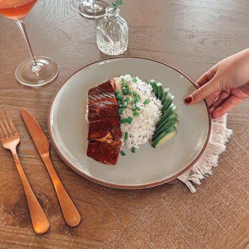 Set of 6 10 inch Ceramic Matte Dinner Plates F677
