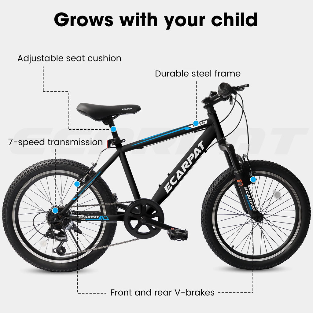 20 Inch Kids Mountain Bike, 7 Speed, Disc Brakes, Fat Tire, Black P380