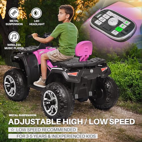 24V 2 Seater Kids Ride on ATV Car 4WD Quad Electric Vehicle H44539