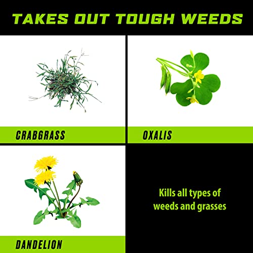 32 oz Weed and Grass Killer Concentrate Q8171