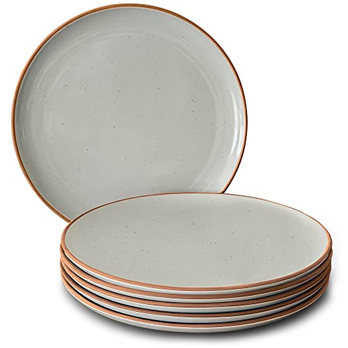 Set of 6 10 inch Ceramic Matte Dinner Plates F677