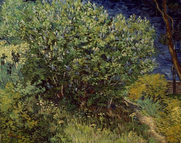 Van Gogh Lilac Bush Giclee on Canvas G640
