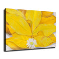 08x12inch Unframed Canvas Wall Art Q844775
