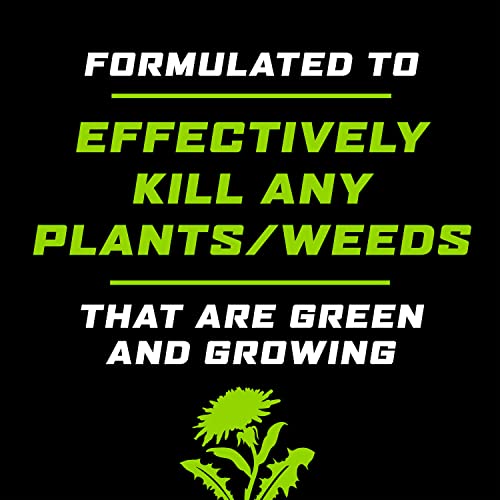 32 oz Weed and Grass Killer Concentrate Q8171