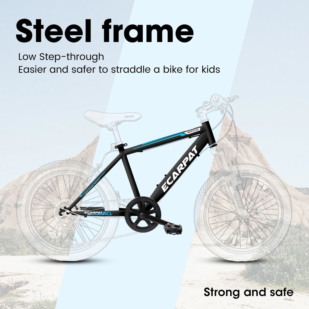 20 Inch Kids Mountain Bike, 7 Speed, Disc Brakes, Fat Tire, Black P380