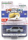 Greenlight 1:64 Die-cast Car Model F13028