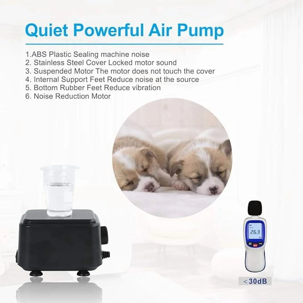 Adjustable Air Pump P309