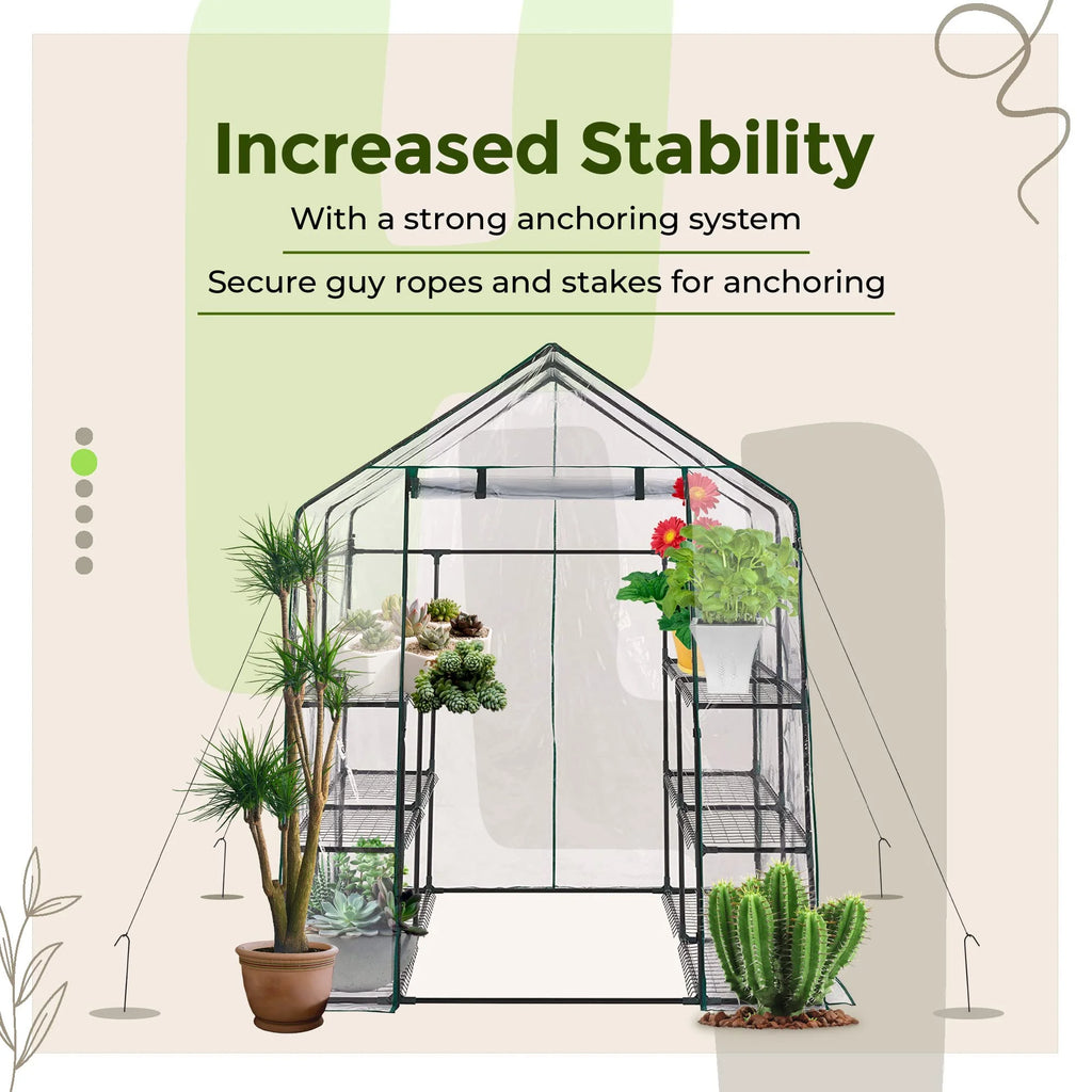 Walk-in Greenhouse with Plant Rack E5994