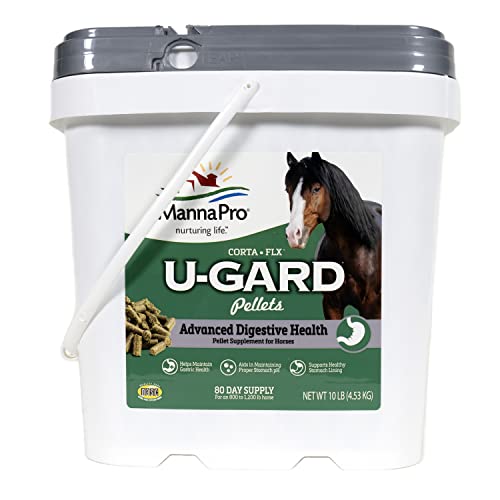 All Natural Equine Digestive Supplement 10 LB W184005