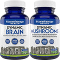 Dynamic Brain + Dynamic Mushrooms Bundle M9179