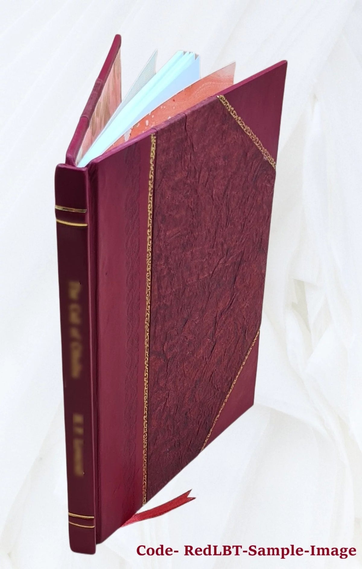 Leather Bound Volume Brief for Petitioner S51738