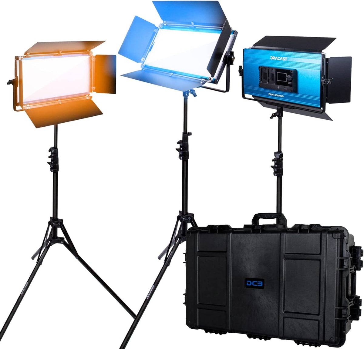 Bi-Color LED 3 Light Kit with Travel Case O232