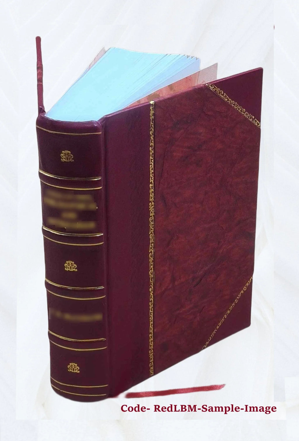 Abridged narrative of travels through the interior of South America F989