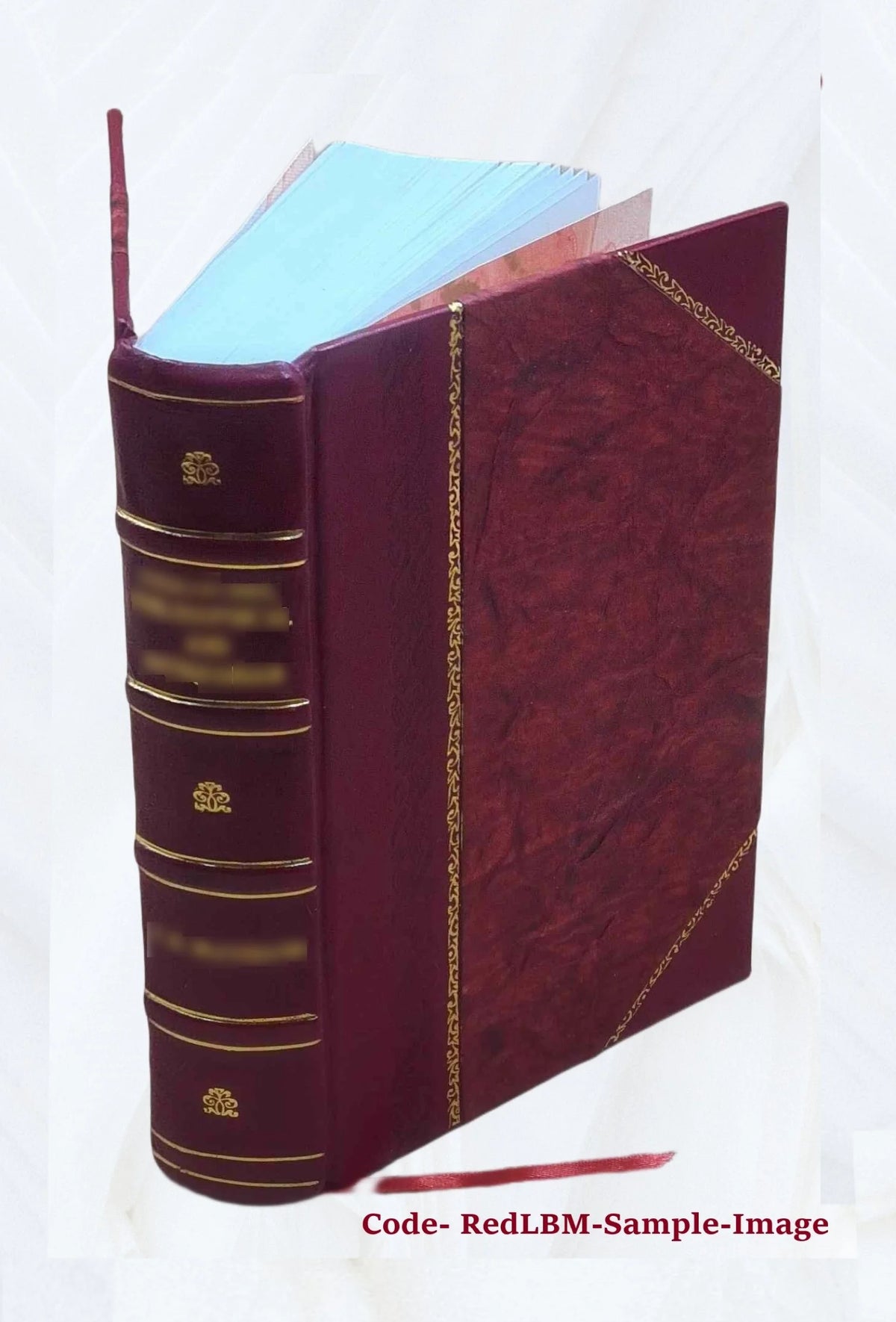 Abridged narrative of travels through the interior of South America F989