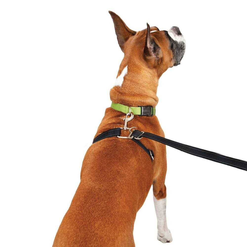 Retractable Dog Leash R996707