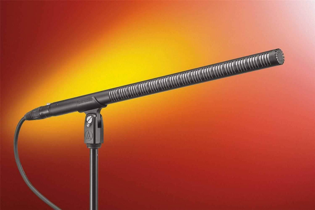 Shotgun Microphone W555