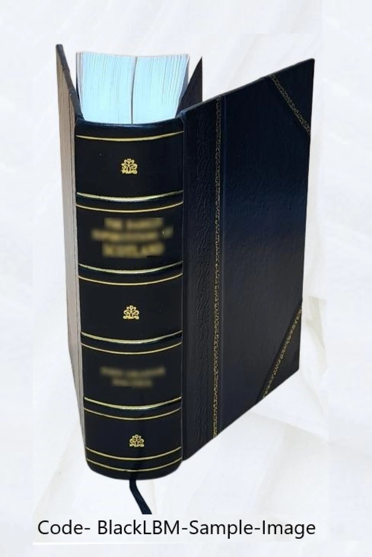 Abridged narrative of travels through the interior of South America F989