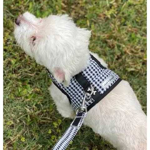 Gingham Dog Harness Vest Z6429