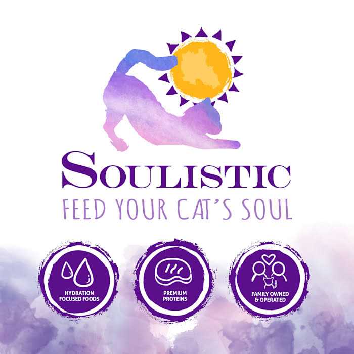Wet Cat Food in Gravy L549