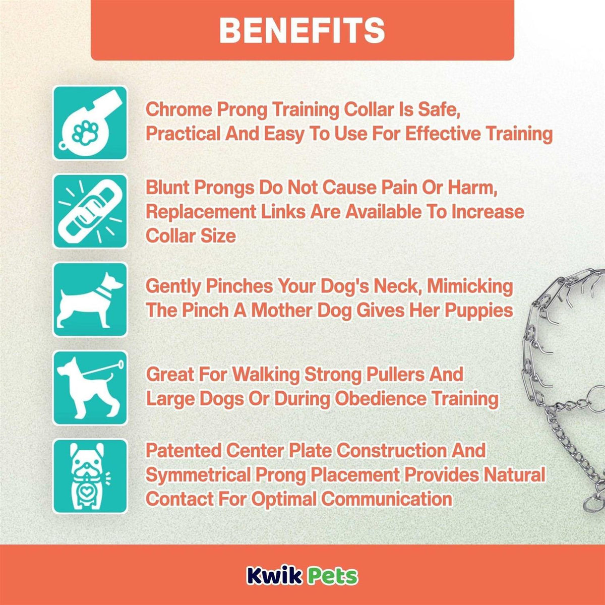Prong Training Dog Collar N71357
