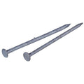 Bright Spike Nail 50 lbs. W627