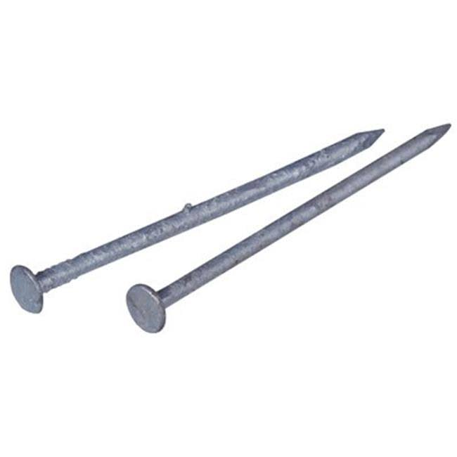 Bright Spike Nail 50 lbs. W627