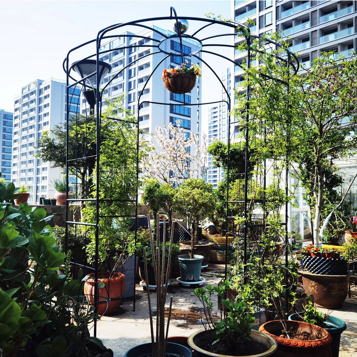 Iron Birdcage-Shaped Metal Garden Arch O708564