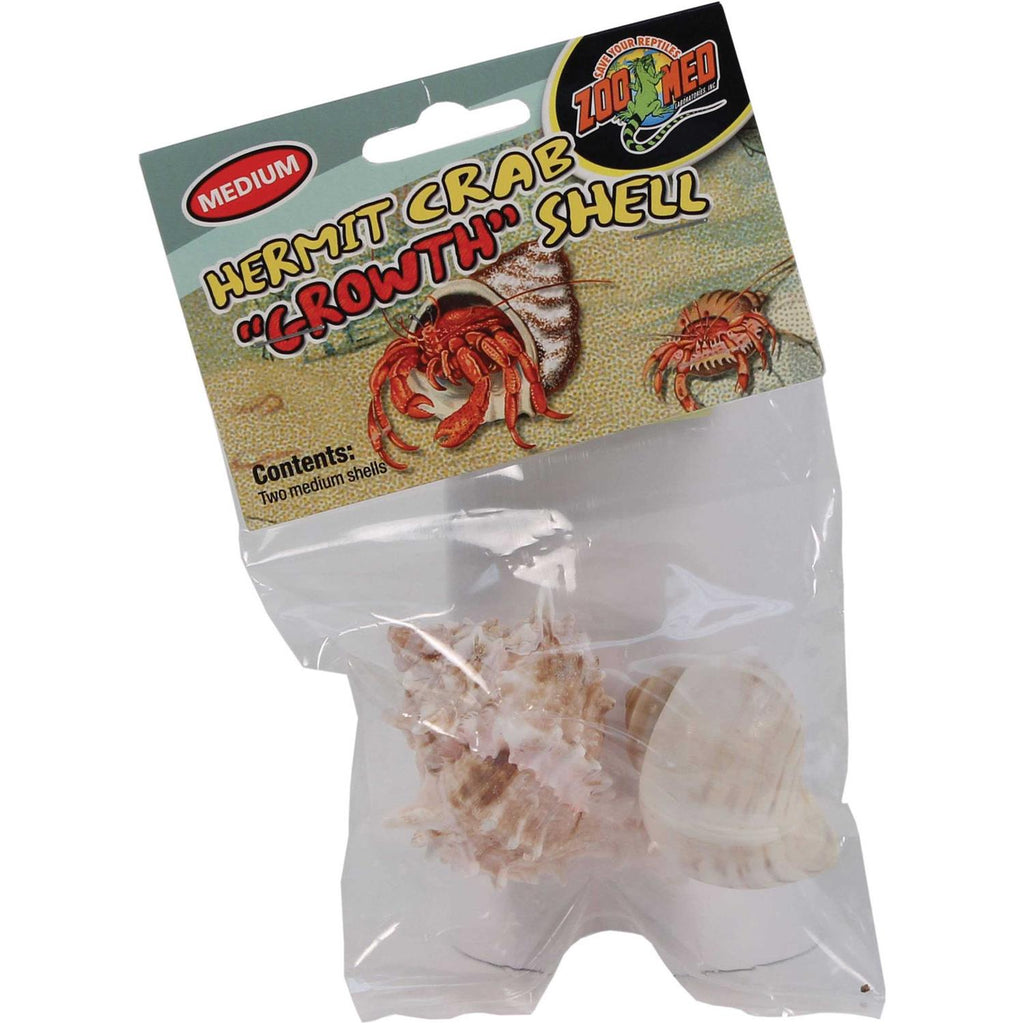 Hermit Crab Growth Shell U680292